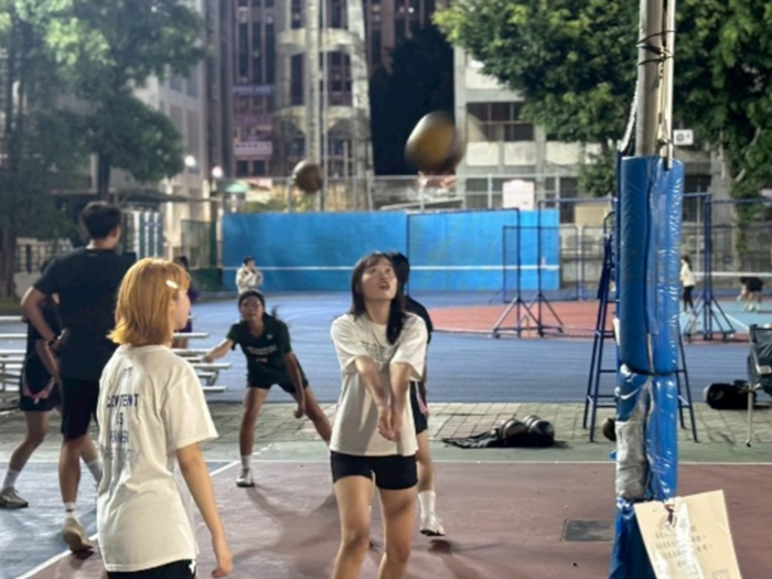 排球圖片